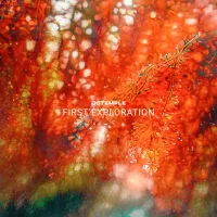 CCTemple - First Exploration